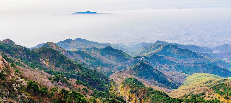 1713858744811973.jpg 11.jpg